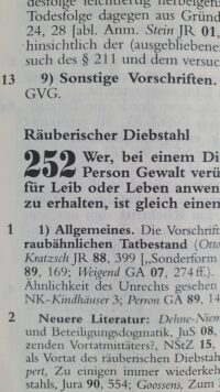 Fachanwalt für Strafrecht bei Beratung wegen räuberischen Diebstahls